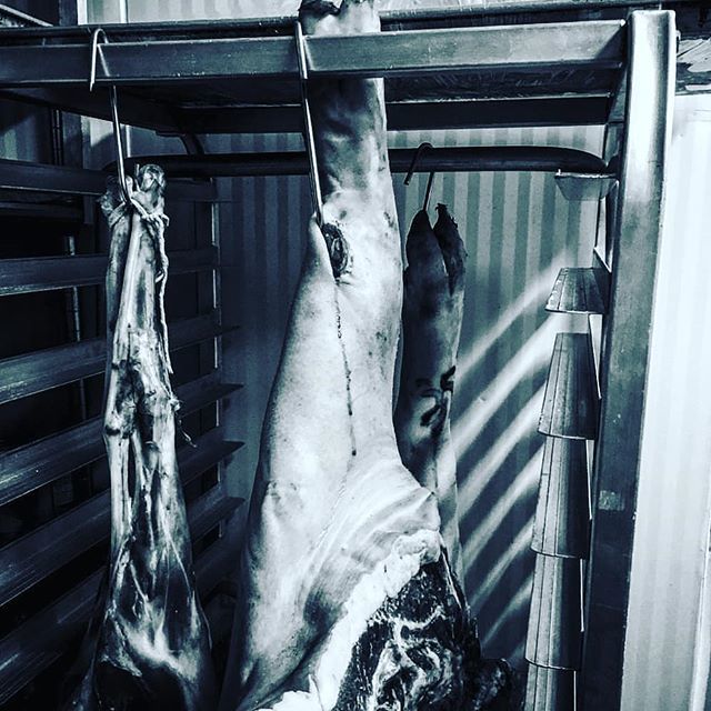 Chef_Rouge's tweet photo. Leg day.
#salumerume #housecures #salumi #charcuterie #salt #air #thyme https://t.co/0YGngsEoO3