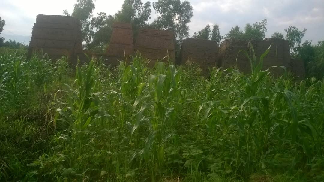 AJDDIBURUNDI2's tweet photo. @UNYouthEnvoy @unhabitatyouth #Burundiyouth need support in consolidating peace and empowerment through income generating projects.@ChrisEvans @JeanVyamungu @EIB @AgnesNdirubusa @BiancaKerebuka @AShingiro @amnestyusa https://t.co/lxup99E6Ga