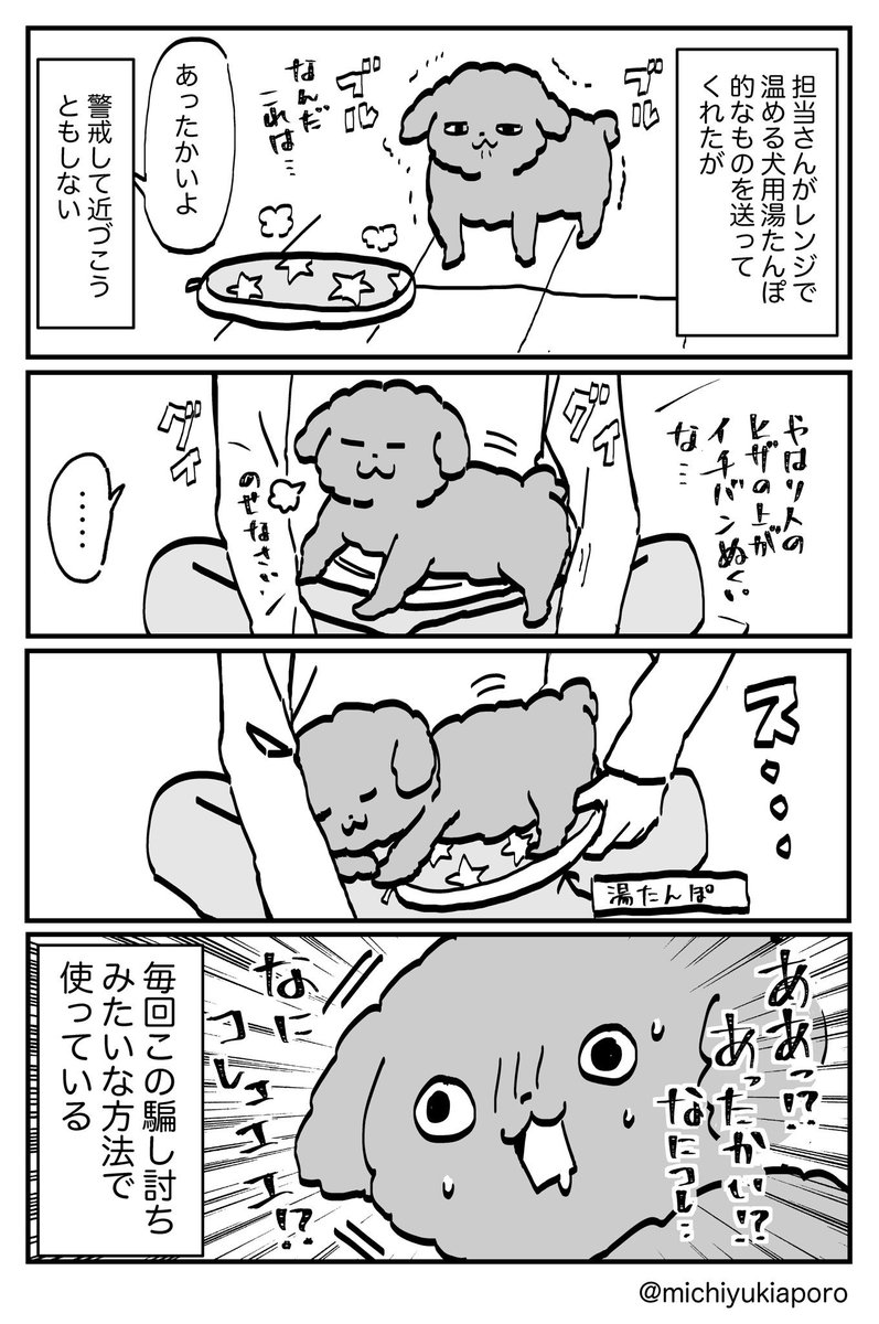 トイプーと犬用湯たんぽ 