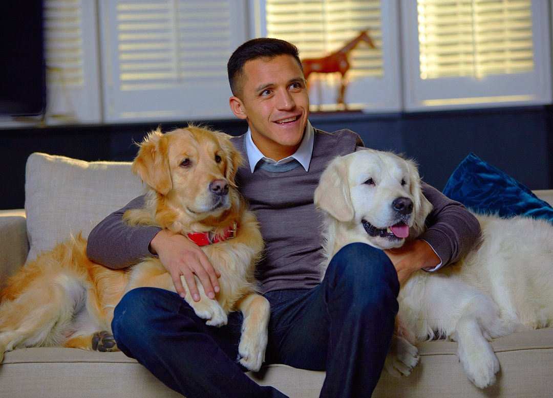  Happy birthday  We\re sure he\ll be spending some quality time with his dogs 