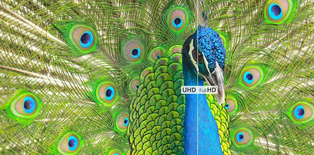 Where extreme detail &amp; colour accuracy are important, only #4KUHD will deliver the clarity of visualisation needed. Trust @NEC_Display_UK heritage in #display quality for future-proof performance. bit.ly/2Bsxq38