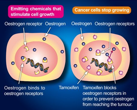 #Hormone #therapy is one of the systemic approach towards #treatment of #breastcancer . #Tamoxifen is widely suggested and used by patients.
Know the benefits of Hormonal therapy and its #research .
Log onto-goo.gl/w6Txzq
#Cancers #therapy #MILLIONS4WINNER