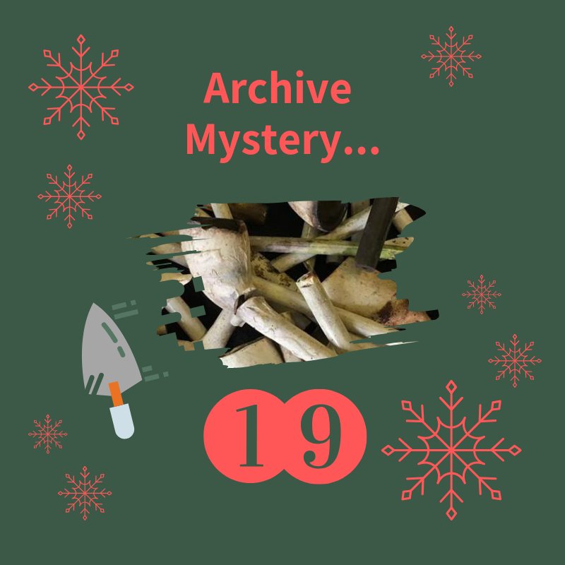 wessexarch's tweet photo. Day 19 of our Archive Calendar looks to the North, with these fragments from a site at Hollis Croft, near Sheffield. Do you know what they are?
#ArchiveCalendar #AdventArchive #advent #christmas #archaeology https://t.co/sK7jAP0Yan