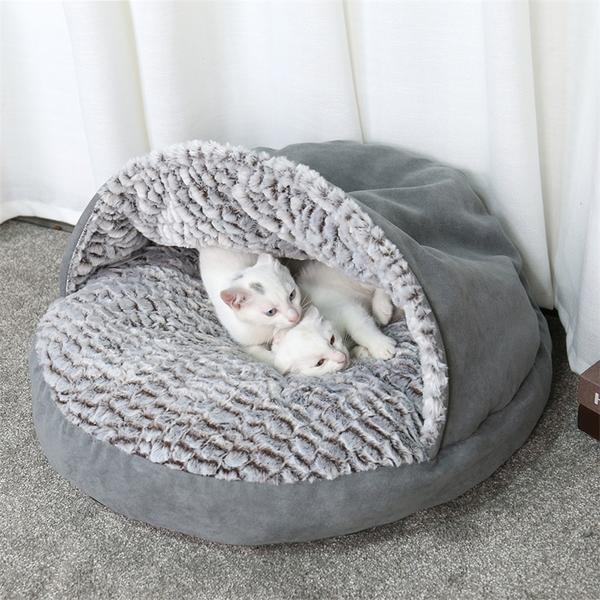 Cat Yum tweet media