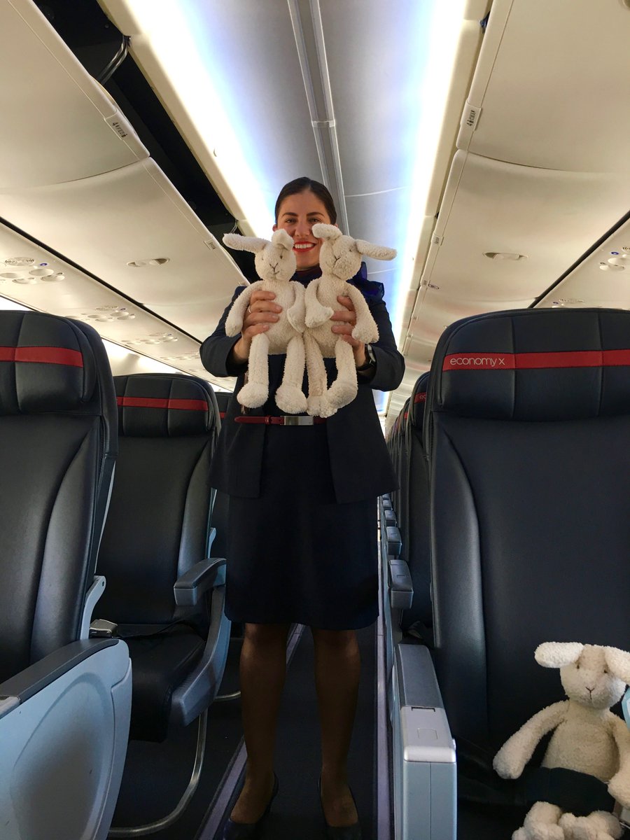 TheChangeAngels's tweet photo. These cute little guys are off to the Northern Territory in great numbers, destined to be comfort bunnies for children admitted to hospital with injuries from abuse. Thx @VirginAustralia for flying them there for us and thx @nanahuchy for donating these bunnies. $69,000 raised😍 https://t.co/8yDYDFqCJy