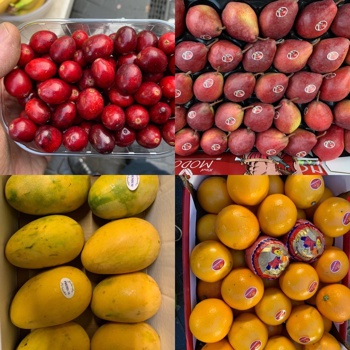 Got some newbies this morning. #redmodocpears which have a crunchy texture like #asianpears, some lovely #sicilian #bloodoranges , gorgeous #mangoes from #dominicanrepublic and fresh #cranberries! #shoplocal #freshfruit #greengrocer #fruitandveg