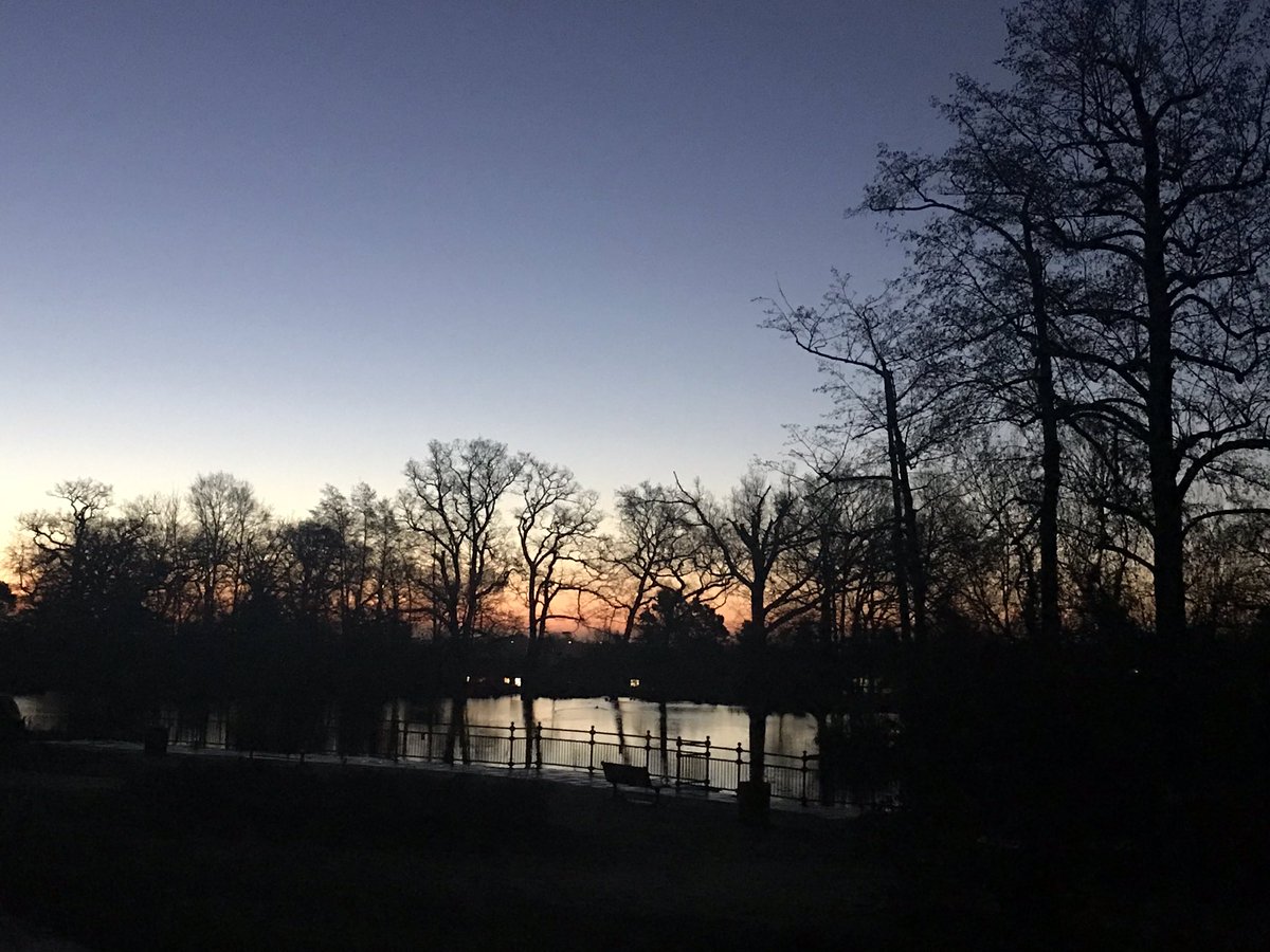 deliablack03's tweet photo. Sunrise #oakmerepark #Hertfordshire #walkingwithruby #lake #beautiful #skeletontrees #nofilter https://t.co/jeeD79l74e