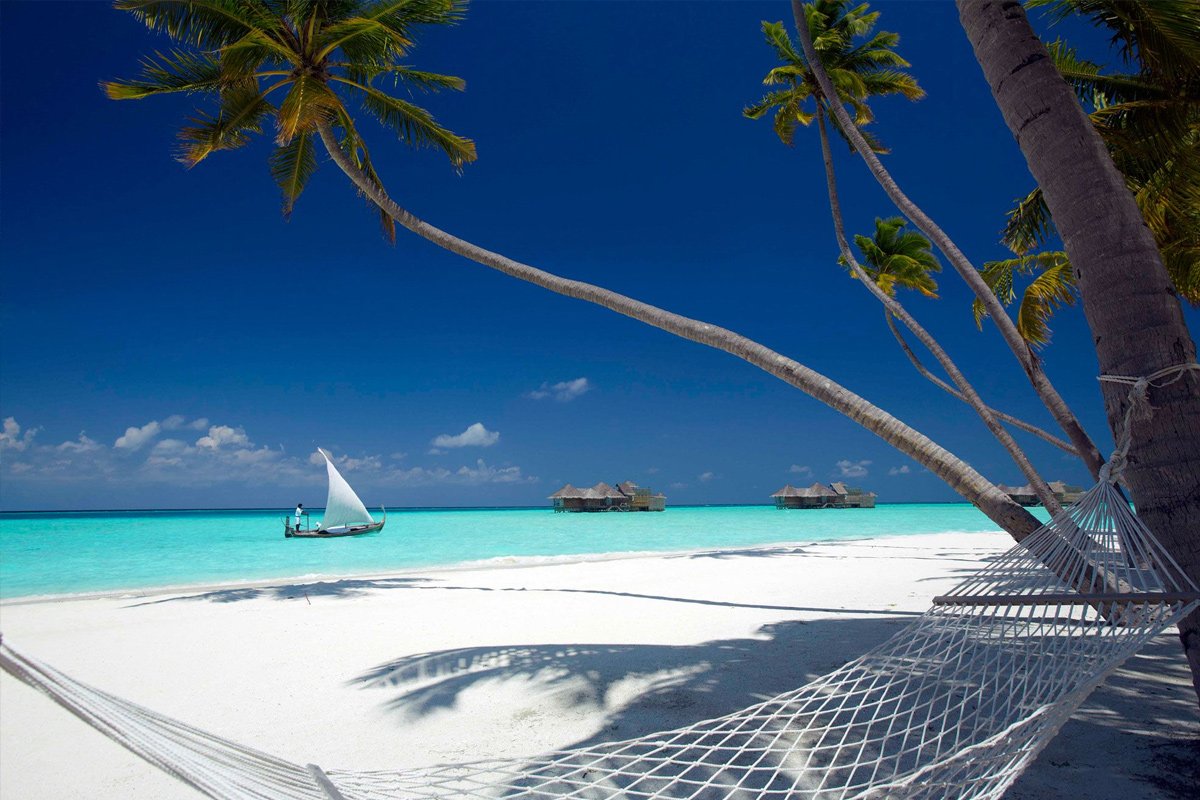 Affectionately referred to as the “Spice Islands,” the island of Zanzibar belongs to a cluster of islands that stretch their way down the East African shore, a few miles from mainland Tanzania. Explore Zanzibar with Flightlink!
Visit: flightlink.co.tz
#Flightlink