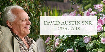 We are sad to announce the passing of David Austin Snr on Tuesday. He died peacefully aged 92 at his home in Shropshire surrounded by family.