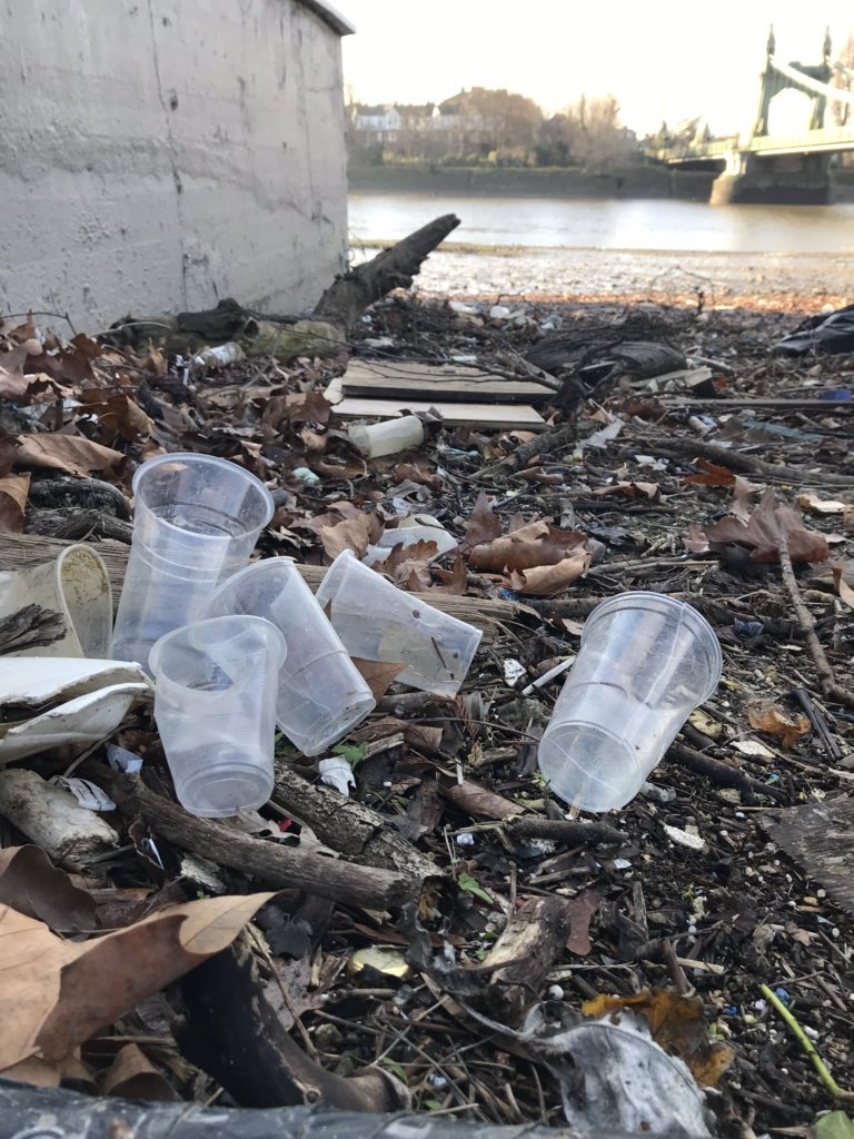 Down by Queen Caroline Dock by Hammersmith Bridge the other day. Fresh #Singleuseplastic pint cups. No-one is drinking outside pubs in this cold, so is it litter from party boats? Is it the #PortOfLondonAuthority licensing these boats?
