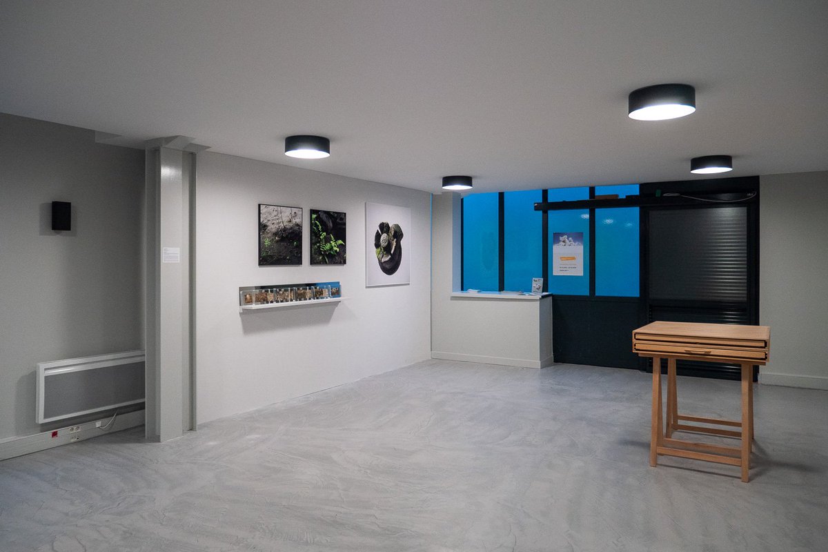 Bit20Paris's tweet image. °DERNIERS JOURS°La Biennale touche à sa fin 😢
Plus que quelques jours pour profiter des dernières expositions satellites !
 - @SmartFoodParis : Clôture le 21 décembre bit20.paris/smartfoodparis
- @MaelleGalerie : Clôture le 22 décembre bit20.paris/galeriemaelle