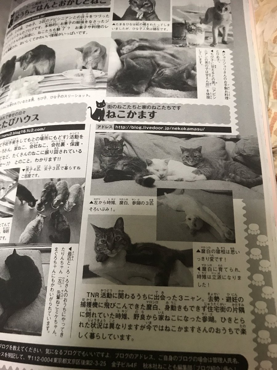 ねこかます 猫の漫画雑誌 ねことも さんに当アカウントのブログをご紹介いただきました 猫 が載ってないページが裏表紙の千鳥の番組広告くらいしかない猫に溢れた素敵な雑誌です しかし あなたの知らない埼玉 とは ねこかます 猫の漫画雑誌 ねことも さんに当アカウントのブログをご紹介いただきました 猫 が載ってないページが裏表紙の千鳥の番組広告くらいしかない猫に溢れた素敵な雑誌です しかし あなたの知らない埼玉 とは