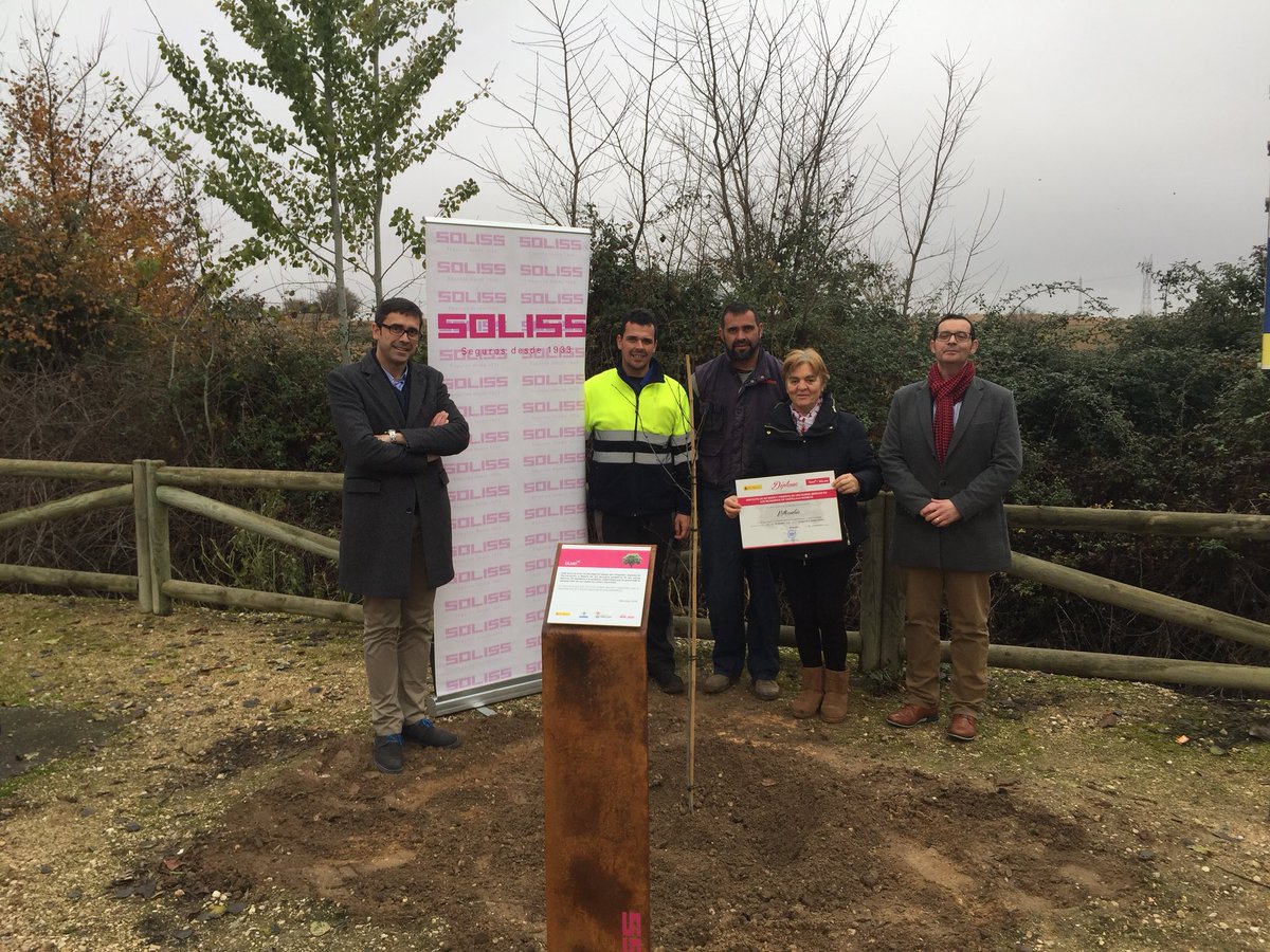 SolissSeguros's tweet photo. 🌿🌳 Un nuevo ejemplar de olmo autóctono resistente a la grafiosis ha sido hoy plantado gracias al #ProyectoOlmo de la @FundacionSoliss. La localidad conquense de Villarrubio se ha incorporado al proyecto y su olmo ya está presente en el Parque de D. Casto Ortega. https://t.co/xTcwpBUOr2