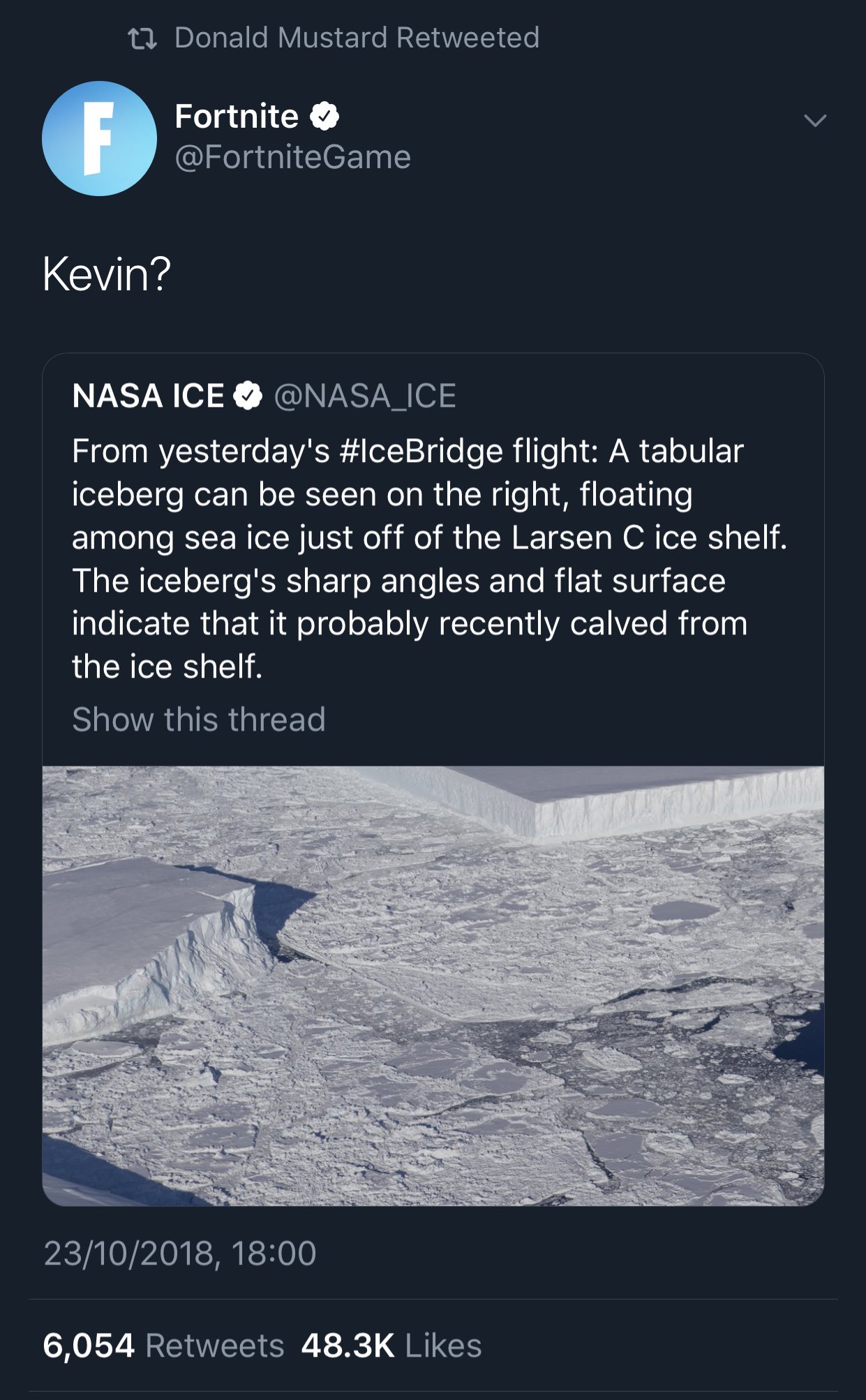 AliA on Twitter "Fortnite tweeted about an Iceberg