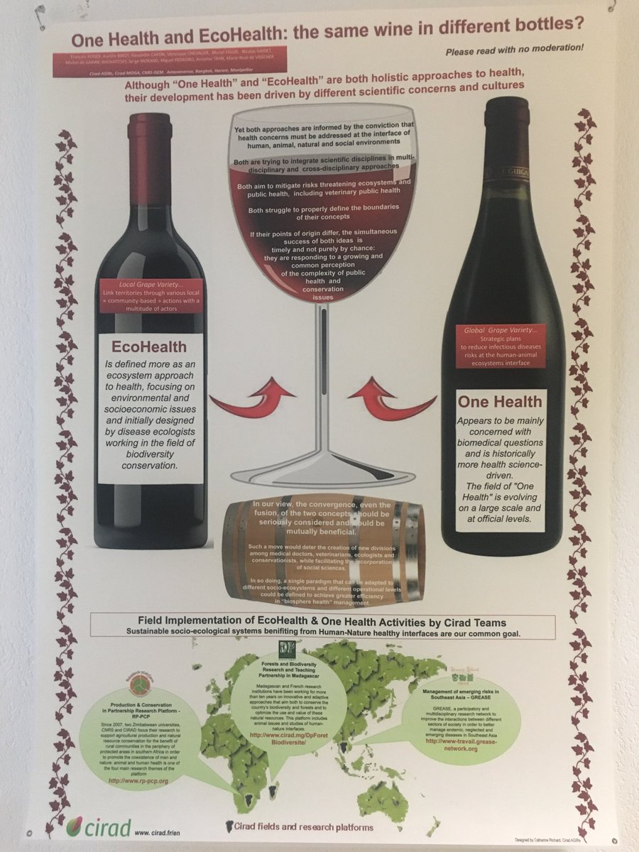 INRAE_DPT_SA's tweet photo. One health-eco health thé sale dîne un different bottles? #umrastre https://t.co/nJUXwRjDdG