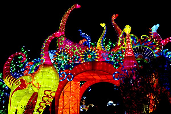 LeBlogDesBobos's tweet image. Un peu de magie de Noël, ça vous tente ? On vous emmène découvrir &quot;Espèces en voie d&apos;illumination&quot; au Jardin des Plantes @Le_Museum bobosvoientdouble.com/2018/12/19/esp… #espècesilluminées