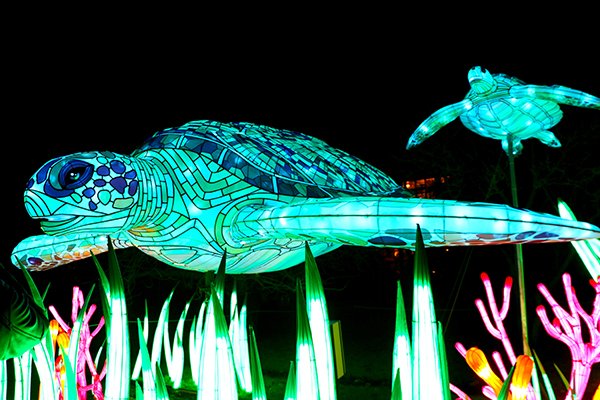 LeBlogDesBobos's tweet image. Un peu de magie de Noël, ça vous tente ? On vous emmène découvrir &quot;Espèces en voie d&apos;illumination&quot; au Jardin des Plantes @Le_Museum bobosvoientdouble.com/2018/12/19/esp… #espècesilluminées