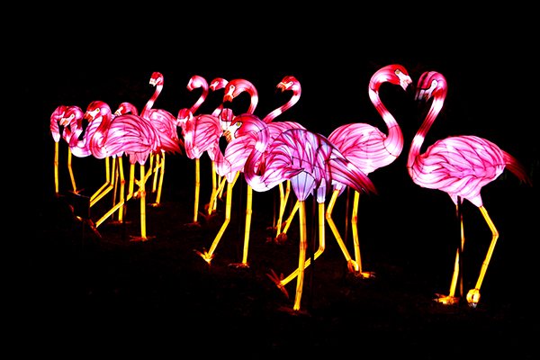 LeBlogDesBobos's tweet image. Un peu de magie de Noël, ça vous tente ? On vous emmène découvrir &quot;Espèces en voie d&apos;illumination&quot; au Jardin des Plantes @Le_Museum bobosvoientdouble.com/2018/12/19/esp… #espècesilluminées