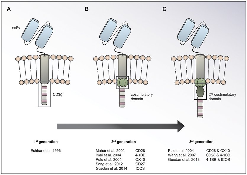 free biocatalysis 2004