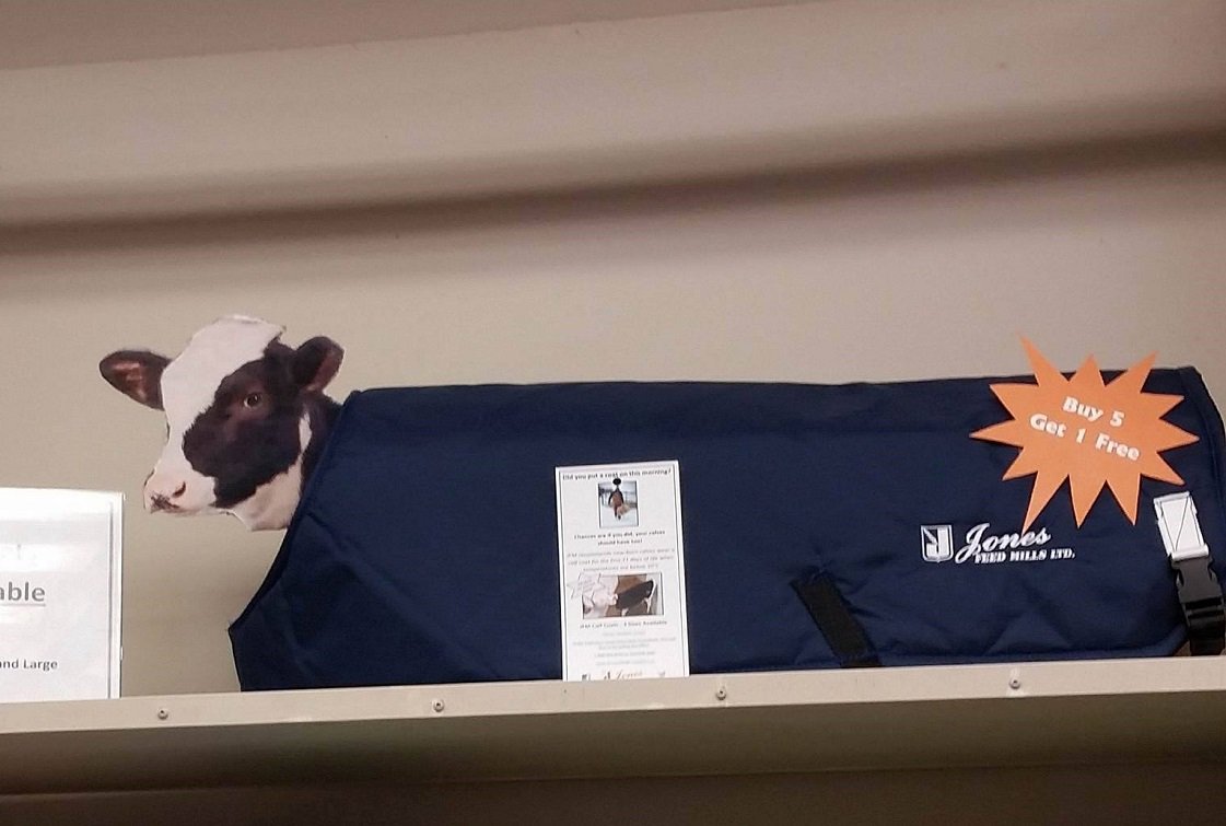 As the temperatures drop and snow flies keep your calves warm and health with calf coats! From now until January 31 #JonesFeed has a special on calf coats, buy 5 coats and get the 6th one Free! Contact your #JFMDairy rep or @theCalfLady to get coats for your herd #JFMCalves
