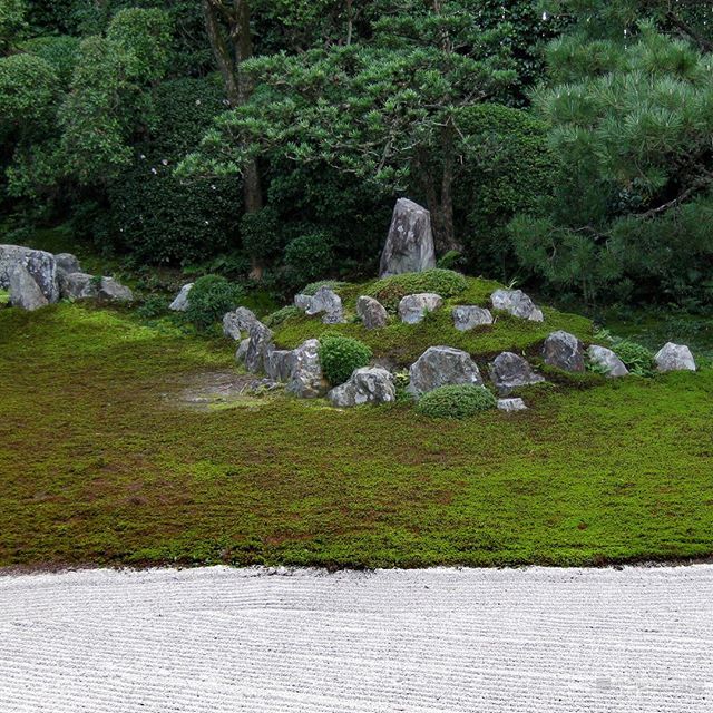 RealJapanGarden's tweet photo. At the left you can find the crane island and in the middle of the picture the turtle island. The gardens of Funda-in are said to be designed by Sesshu and re-done by Shigemori Mirei.
・
Visited 2014
・
#芬陀院 #fundain #kyoto #東福寺 #tofukuji #japanes… https://t.co/pKycnNjC2u https://t.co/YzpfyFbefN