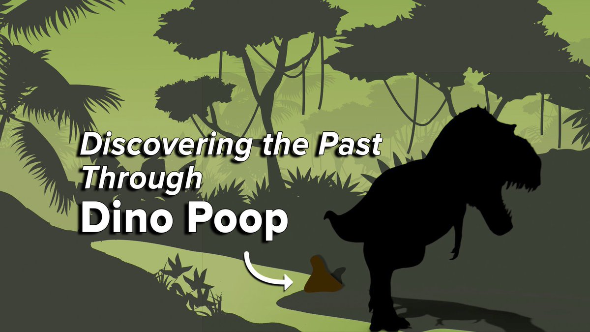 New @scifri video: Behold the incredible paleontological insights gained from dino dung! Feat. @ucboulder 's Karen Chin & @TwoMedicineDino .I had an amazing time making this. Apologies to my office mates who had to help me animate pooping dinos for weeks. scifri.me/mv1