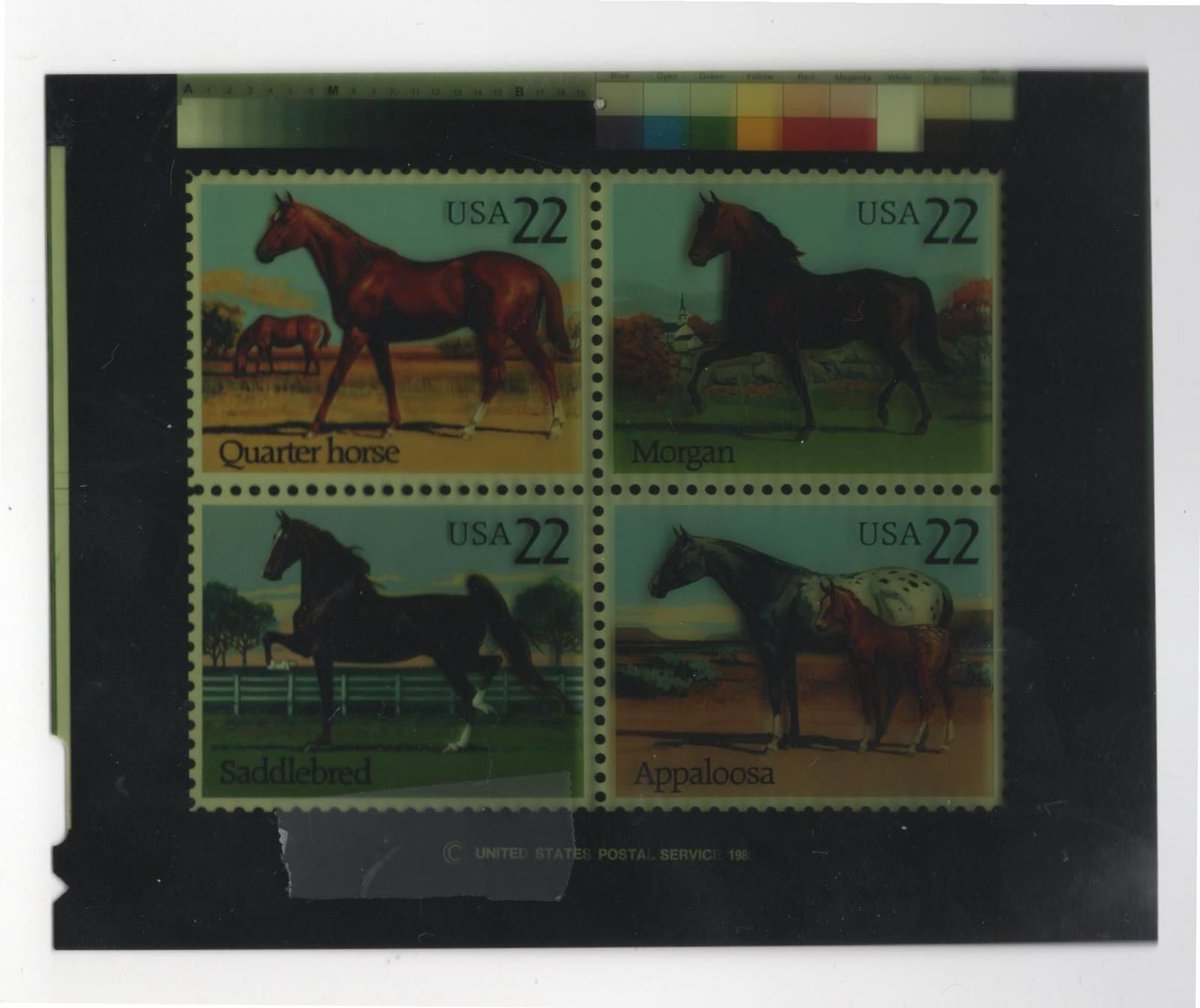 I know I posted something postage stamp related a few days ago, but I just love this negative in our collection that features images of the stamps for all four horse breeds.