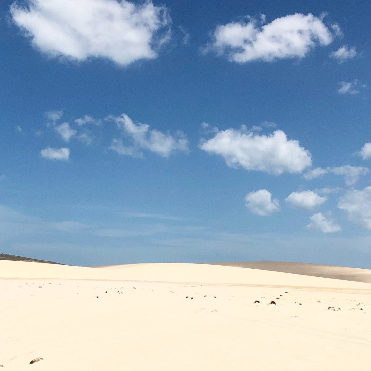 Gastrotxusan's tweet photo. Jericoacoara un lugar mágico en el norte de Brasil que te permite olvidarte por unos días de todo. https://t.co/bUemi4ihBu