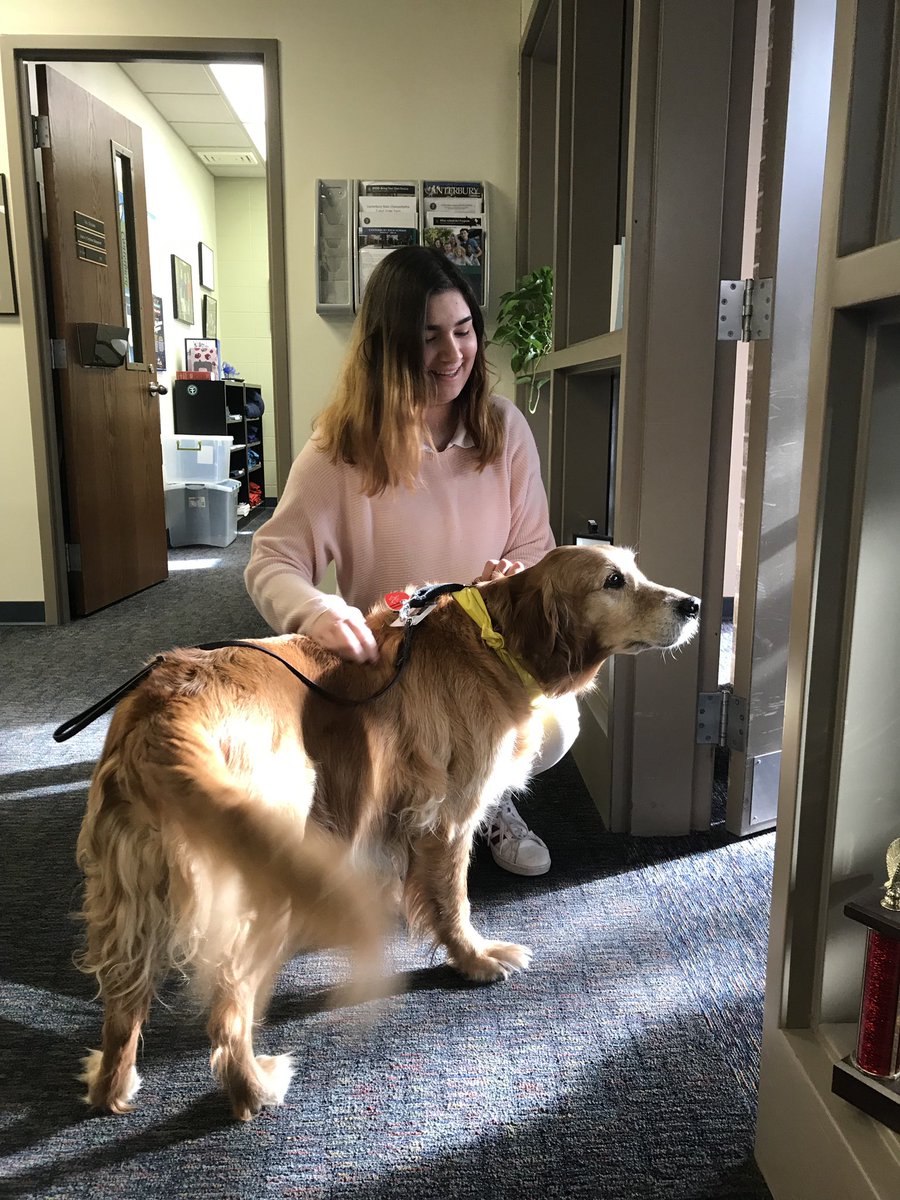 CanterburyFW's tweet photo. 🐾 Paw-some surprise! It’s #FinalsWeek at the HS, so we surprised students with a few furry friends! These paws-itively adorable pups are helping keep our students’ stress from hounding them during finals. T-2 days until Christmas Break! #EachStudentMatters #EachExperienceMatters https://t.co/Z3rMK6vNrB