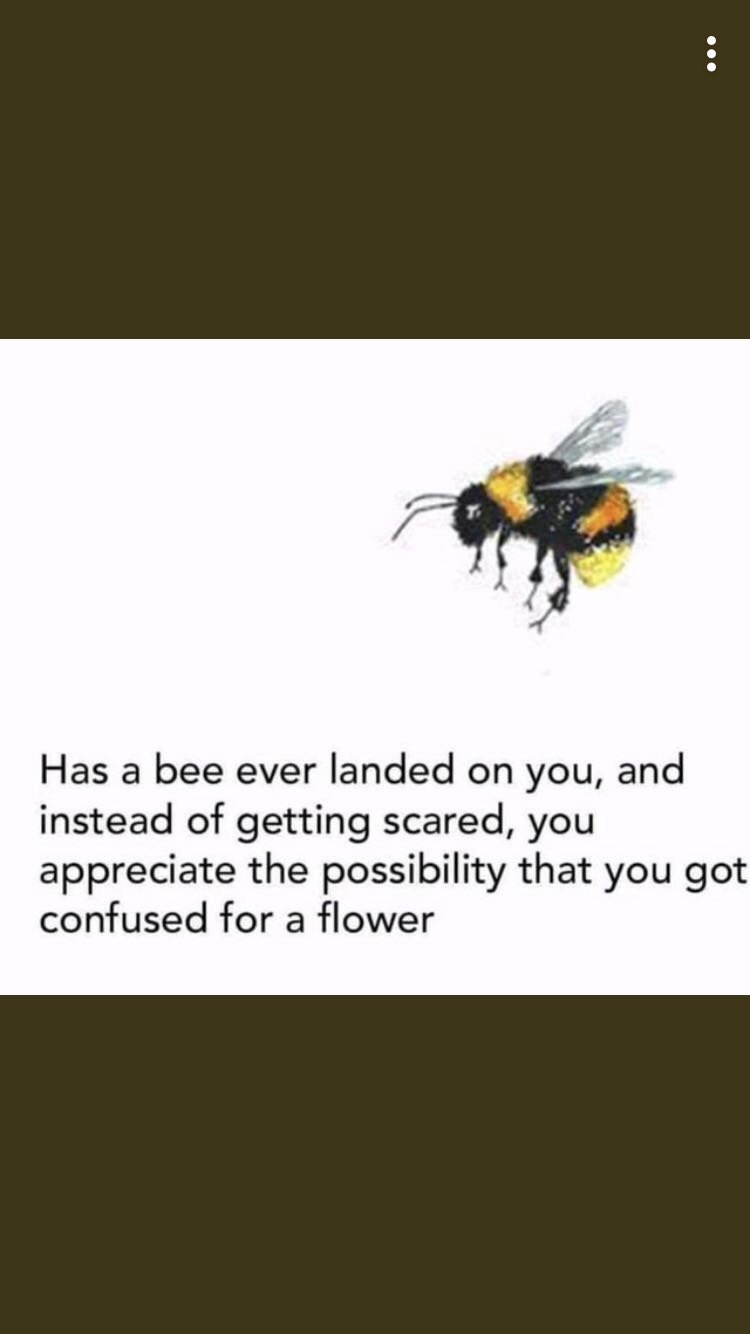 Duy3RsvWoAERTQ7.jpg:large