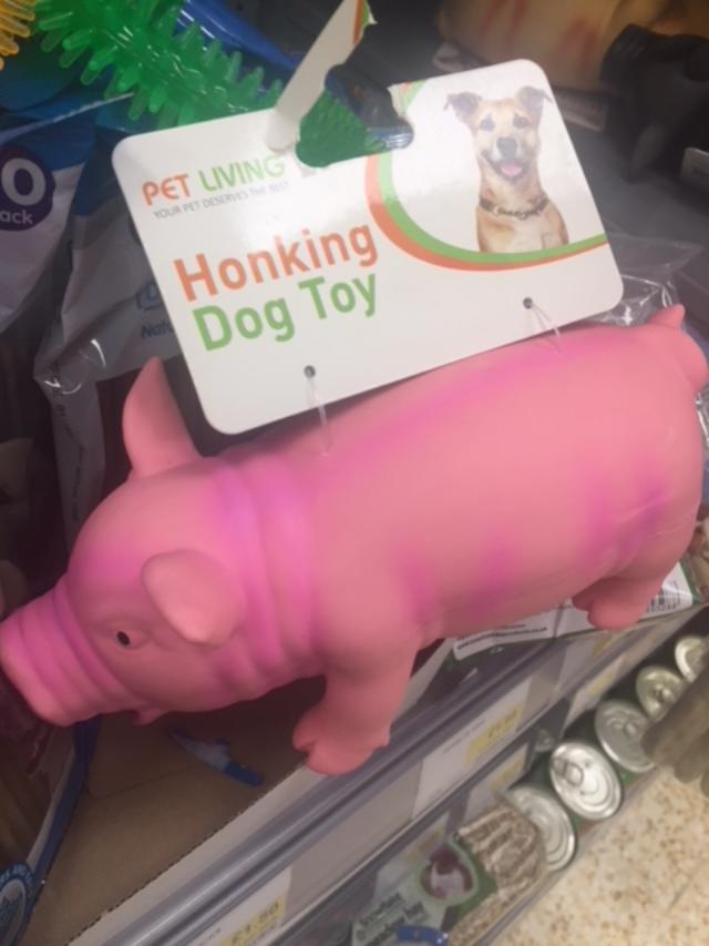 Dolly B Dean (@oldmillbystream) on Twitter photo I am hoping Santa Paws brings me one of these from <a href="/mycoopfood/">Central Co-op Food</a> as I had one before but the honk stopped working
#triedandtasted - a great gift for a dog ! 🐶🐕🐩 I am hoping Santa Paws brings me one of these from <a href="/mycoopfood/">Central Co-op Food</a> as I had one before but the honk stopped working
#triedandtasted - a great gift for a dog ! 🐶🐕🐩