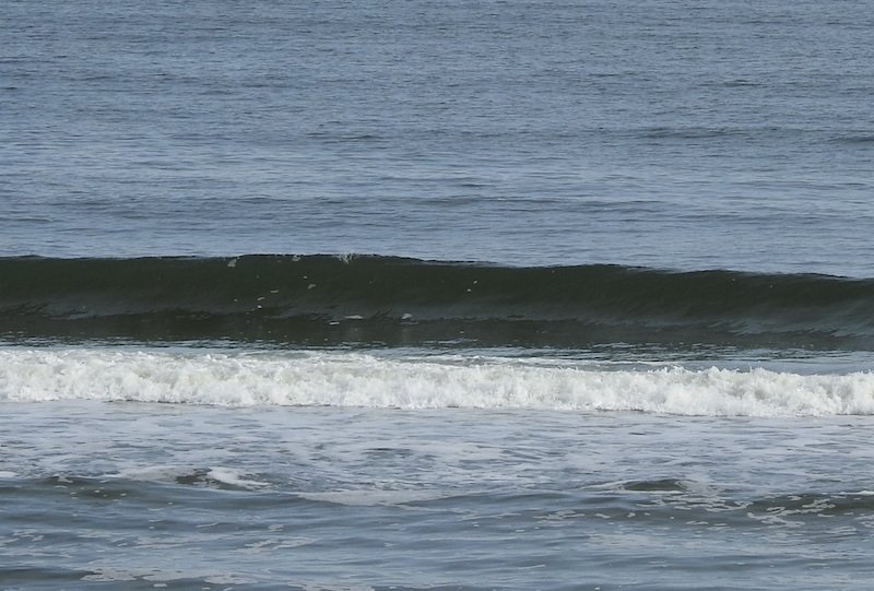 CorollaSurfShop's tweet photo. The surf actually started to clean up yesterday afternoon. At this noon posting, wave height is high to thigh to waist. Corolla has an incoming tide (4:26 PM), so surfing this early afternoon should work. GARY, COROLLA @CorollaSurfShop https://t.co/cgIZZPRZiY