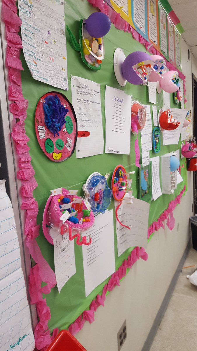 3D plant and animal cells en francais by our grade 8 F.I.'s.  #tsmspride <a href="/TanyaTymkiv/">Tanya Tymkiv (she/her)</a> <a href="/HodderJeff/">Jeff Hodder</a>