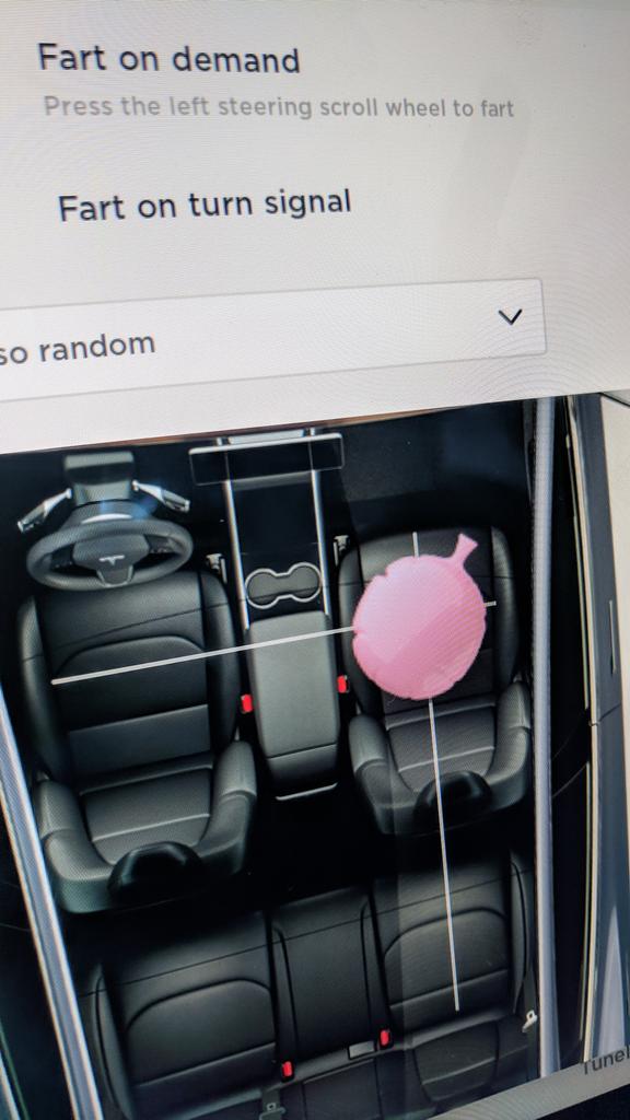 sda3ovish's tweet photo. @elonmusk I can't wait to try #fartondeman #tesla3 on my boss riding back from a meeting https://t.co/QgcnDgRjYR