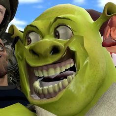 OK.. MAS VOCÊS JÁ VIRAM O SHREK EM OUTRAS FACES? : r/ballutverso