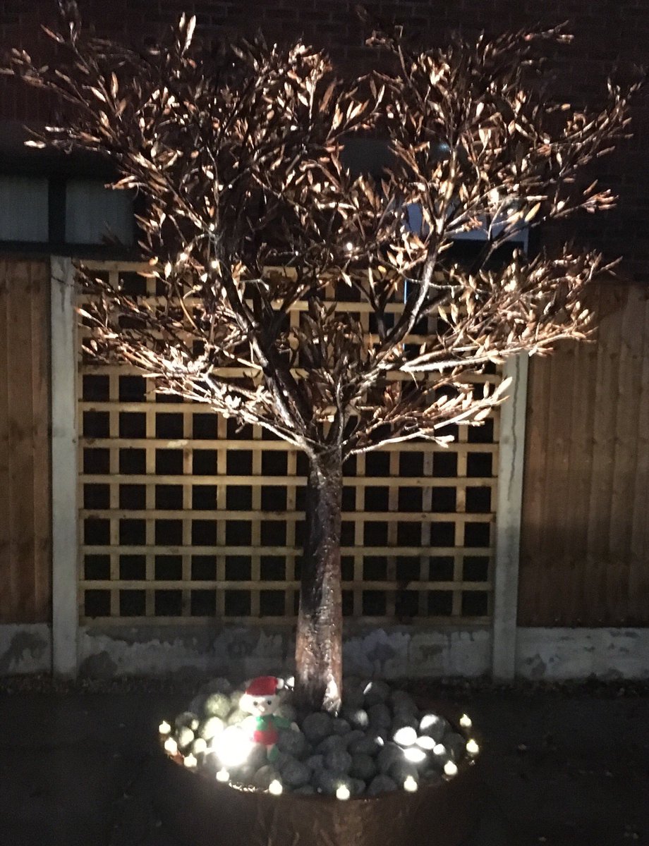 JanetteMills12's tweet photo. #auditelf celebrating Christmas gathering around the trees in our garden of reflection @SONHStrust @HQIP @pauljebb1 @kitsonmichelle3 https://t.co/nQ56iKCyFO