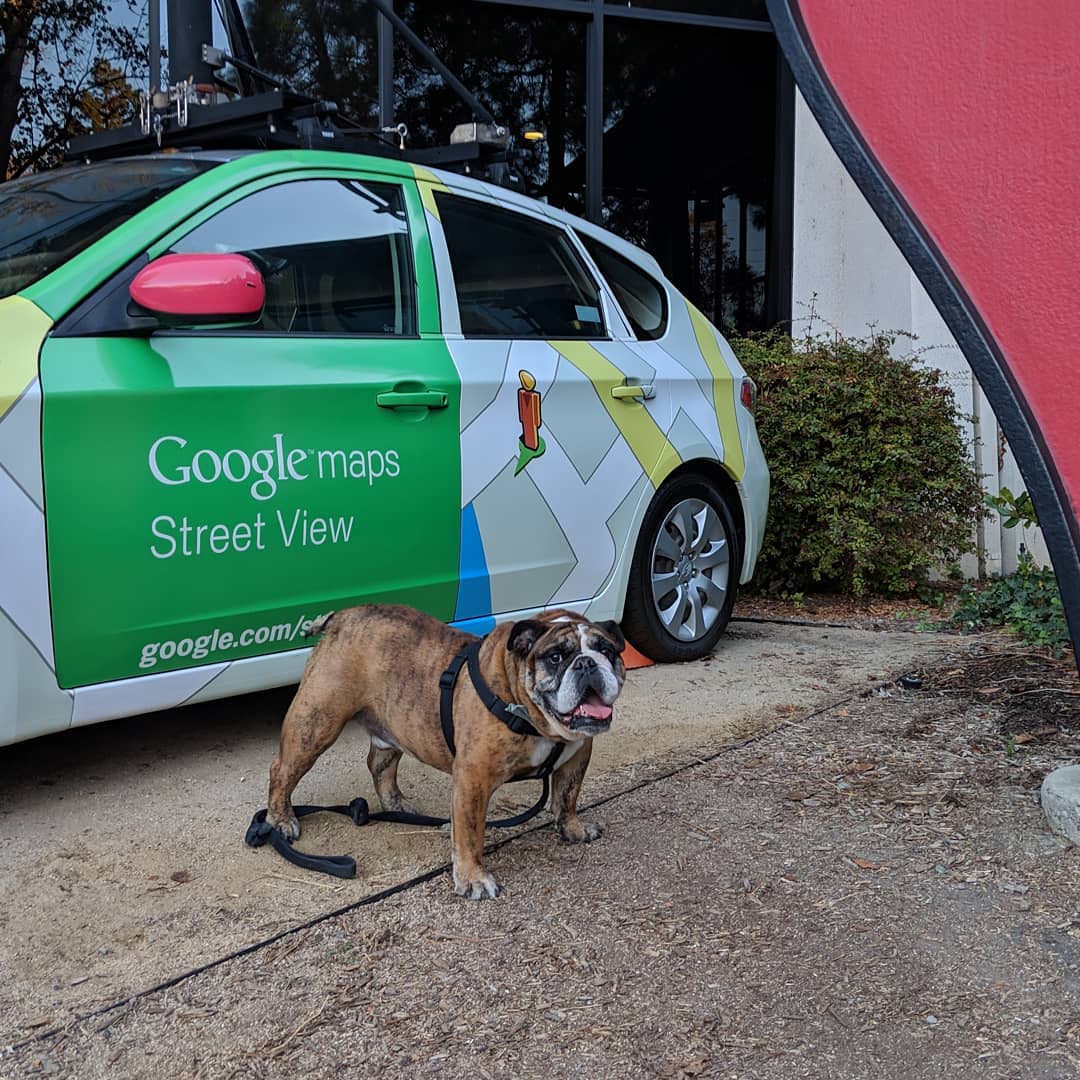 Photo of Rocky the Doogler standing in front of a Google Maps Street View car.