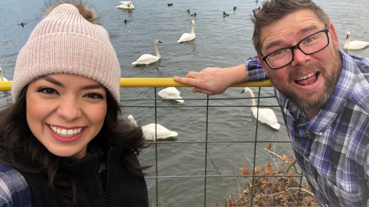 THV11's tweet photo. It may sound corny but it's literally 'Swan Lake' in Heber Springs. @marielruizwx &amp; @adambledsoe1978 checked it out on this week's episode of #DiscoverAR
https://t.co/yMMfphvwD0 https://t.co/4iUO8QCqcu