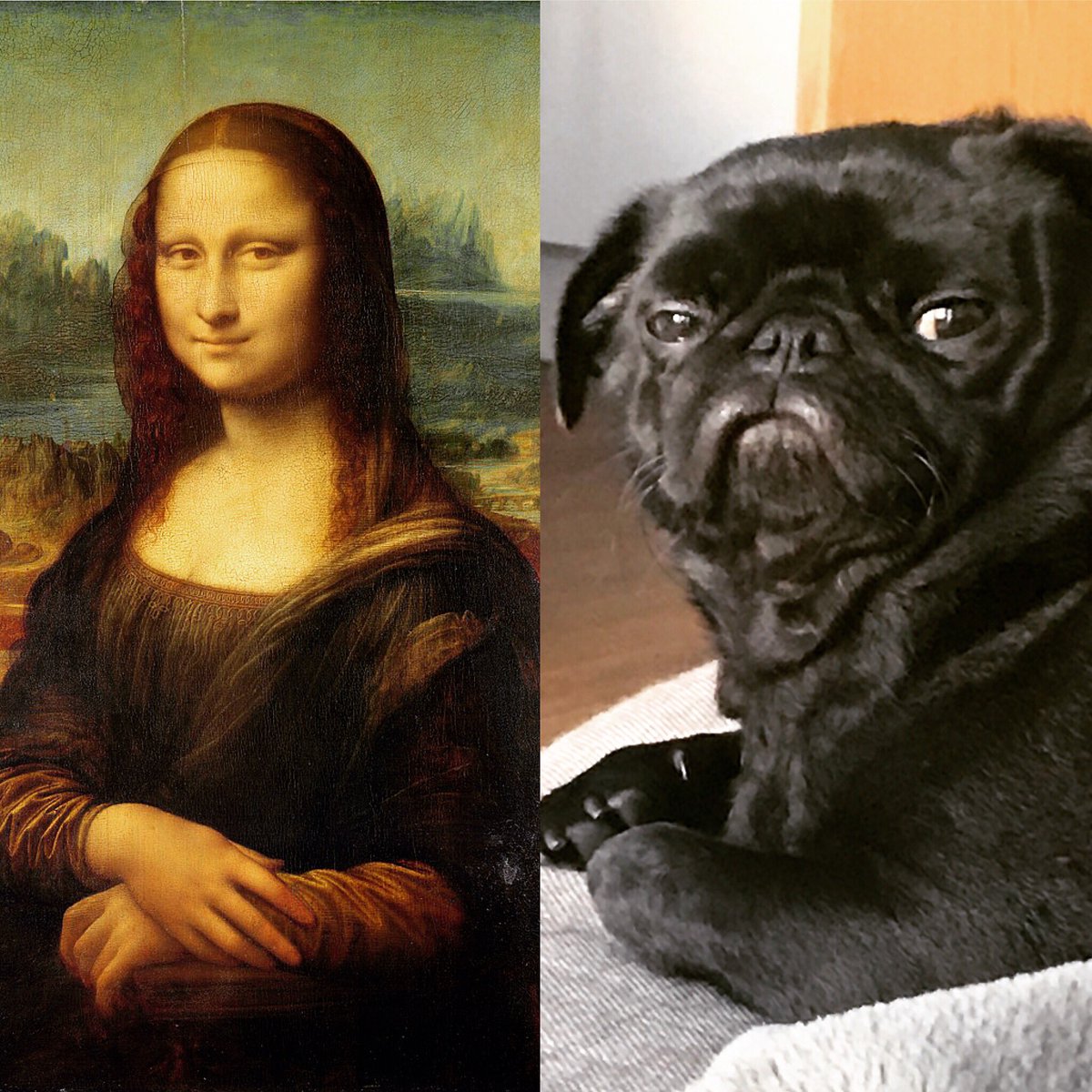 albusthepug's tweet photo. When you’re a pug but you’re also a work of art #pugalisa #puglife https://t.co/tUm2dqj7fa