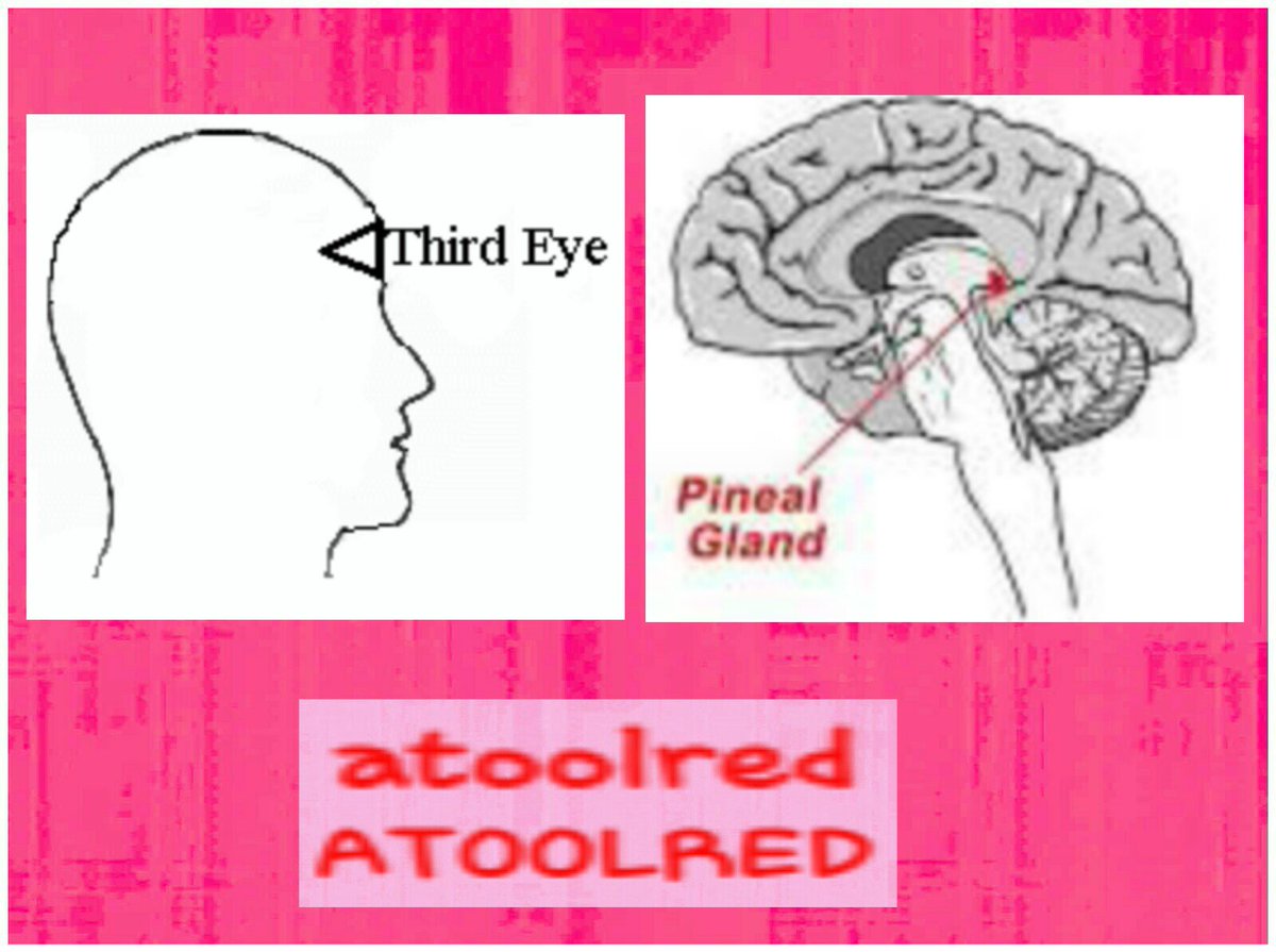 atoolred's tweet image. PayPal.Me/ATOOLRED 
ATOOLRED PERFECT TRAINERZ PERFECT EXCHANGEZ PROTOCOL NETWORK PERFECT MONEYZ PROTOCOL NETWORK PERFECT FOREVER FOREVER PERFECT ATOOLRED