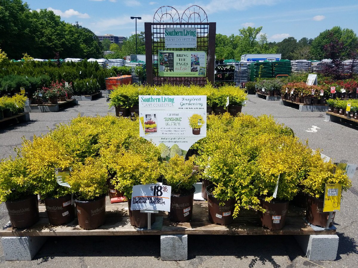 Retail Garden Mngmt tweet media
