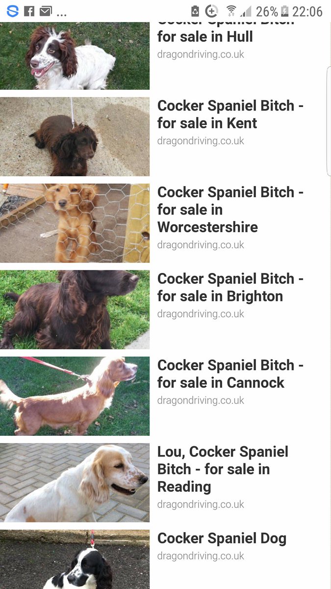 care bear comforter set