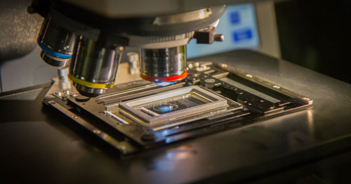 lf_science's tweet image. Российские физики создают идеальное лекарство для лечения рака: life.ru/1179701