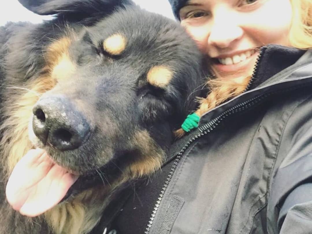 DT_Glasgow's tweet photo. We have some snuggly doggies today! Tom can be worried by strangers and may not show his true personality at the centre but as you can see, when he loves you, he loves you! ๐ will you fall in love with him too?
#shepherdcross #cuddles #bestbuddies https://t.co/GVHPnhZjeF