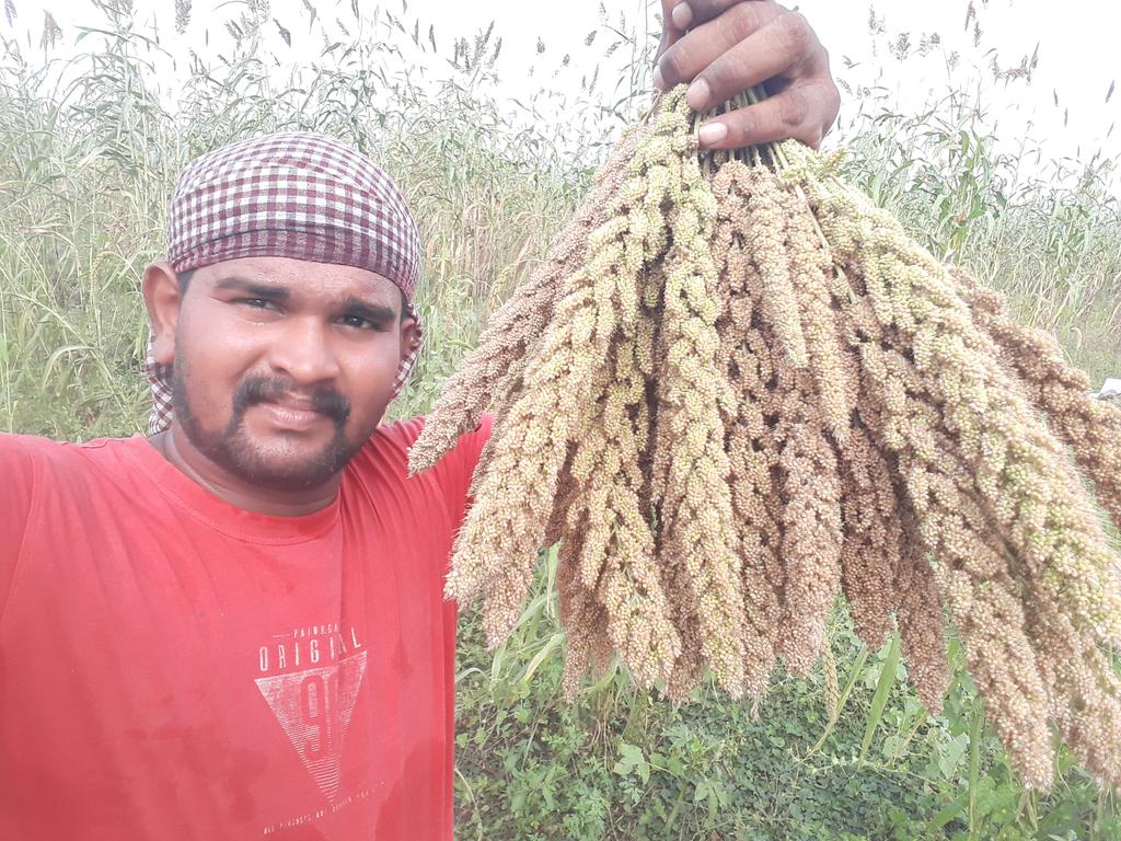 விவசாயம் எங்கள் பெருமை