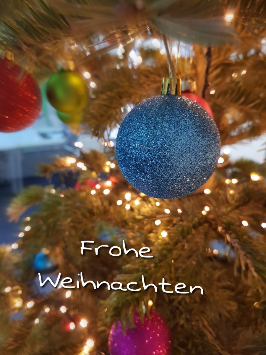 dashoefer_de's tweet photo. Unter unserem Büro-Baum liegt ein Weihnachtsgeschenk für Sie: 19% Rabatt für 2019!

Jetzt Seminar suchen und einlösen: JW2YB
https://t.co/tWAQxyhz5I
#Weihnachten #Weihnachtsgeschenk #Geschenk #Rabatt #Seminar #Weihnachtsbaum #christmas #ChristmasTree https://t.co/d5bNgY0LAK