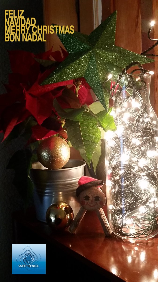 Desde de <a href="/SmedTecnica/">Smed Tecnica</a>  os deseamos una feliz #Navidad!!!!🎄🍾