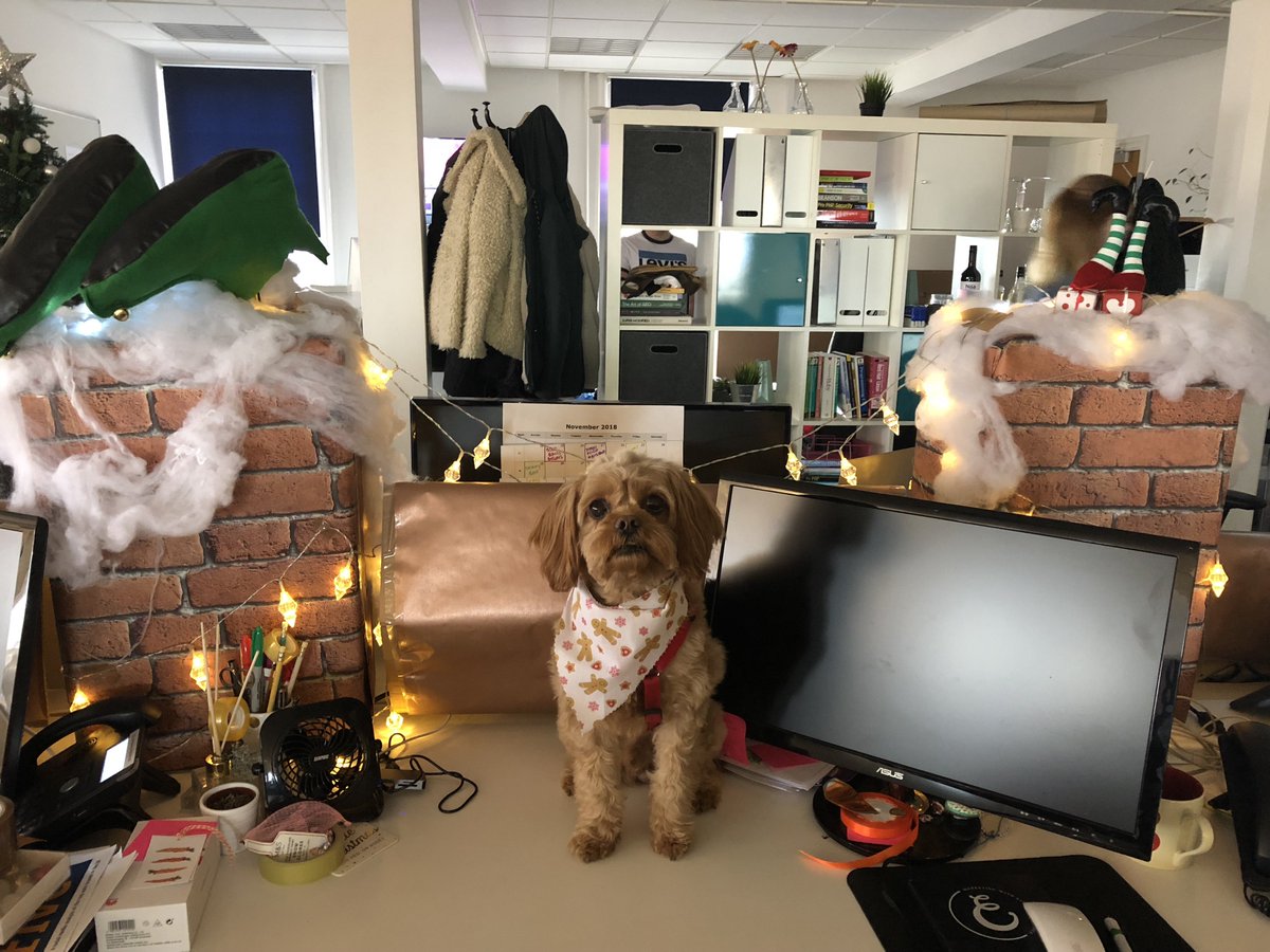 And finally we have: Creative Marketing Street (Remember: ❤️= 1 vote, 🔁= 2 votes)  #officedog #christmasdesk #deskdecorating #agencylife