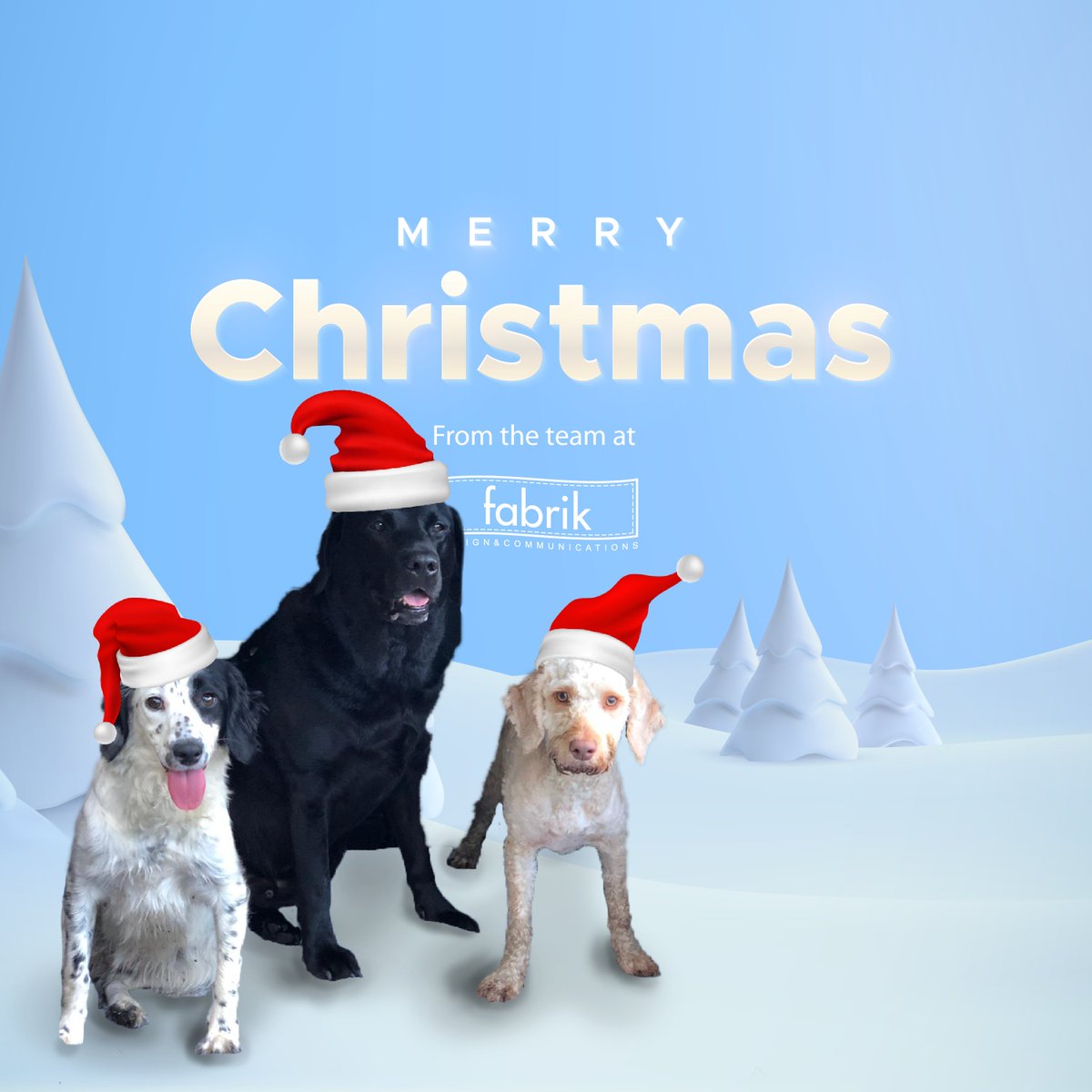 fabrikcomms's tweet photo. Merry Christmas from the dogs at Fabrik 😃   (the humans say hi too) https://t.co/IUZLsto4Ul