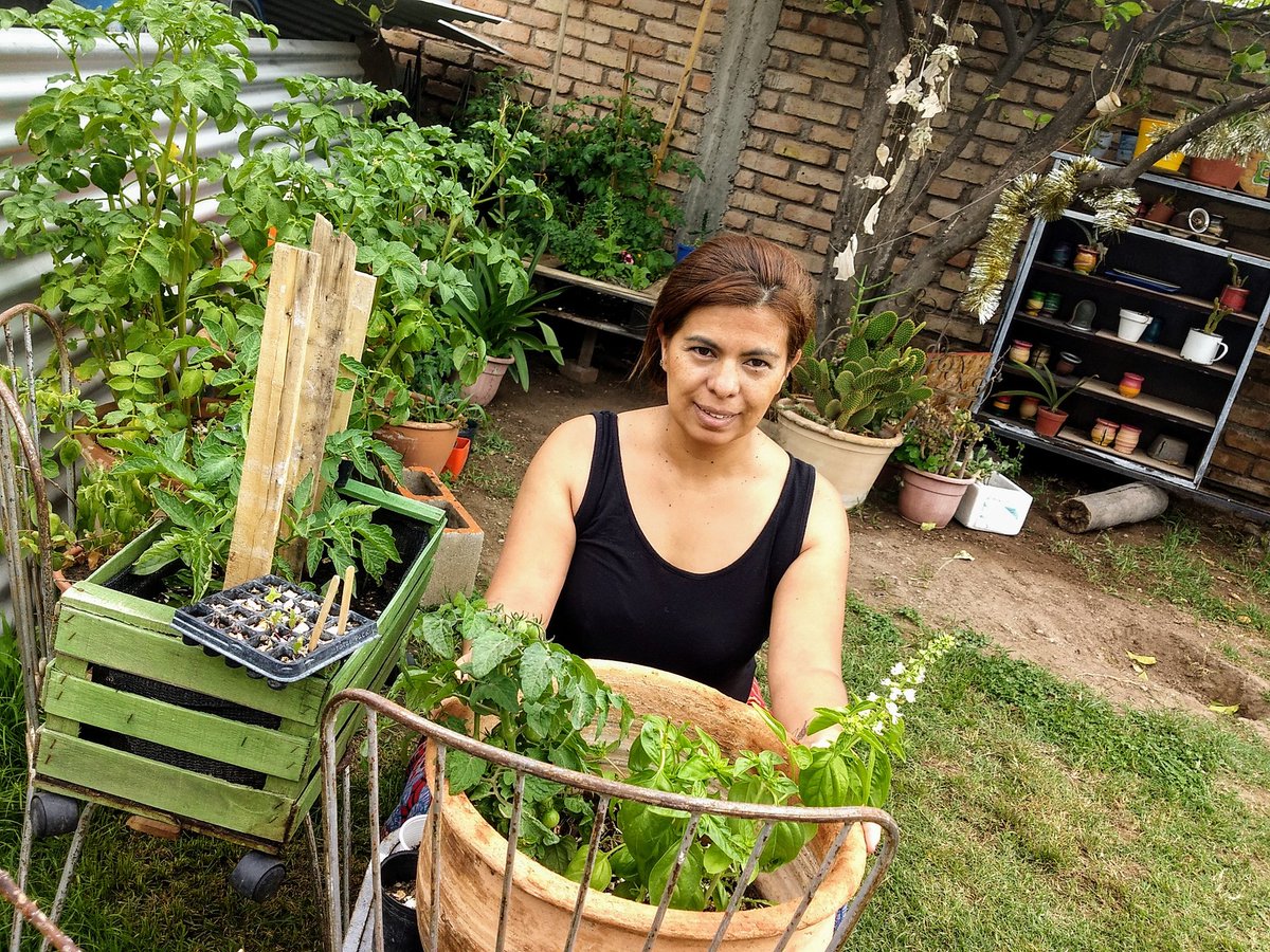 DiegoCoronelMDZ's tweet photo. Felicitaciones Lily y Juli, ganadoras del Concurso #GodoyCruzCultiva 🍅🥕 Su trabajo demuestra que podemos tener una huerta en casa, con mucho o poco espacio; se trata de consumir alimentos saludables, contribuir al ambiente y a la economía. #GCSustentable @MuniGodoyCruz https://t.co/vp0FYWSwHJ